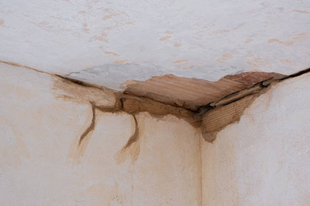  Cleveland, TX Water damage restoration Pros