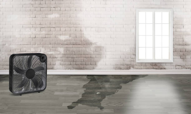 Best Water damage restoration cost  in Cleveland, TX