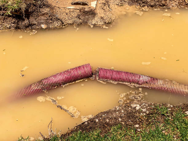 Water damage restoration experts in Cleveland, TX